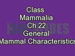 Class  Mammalia Ch.22 General Mammal Characteristics