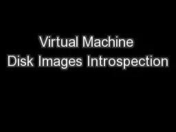Virtual Machine Disk Images Introspection