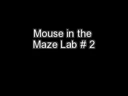 Mouse in the Maze Lab # 2