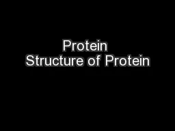 Protein Structure of Protein