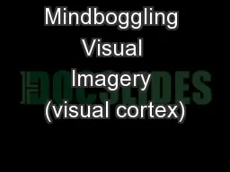 Mindboggling Visual Imagery (visual cortex)