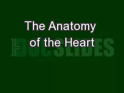 The Anatomy of the Heart