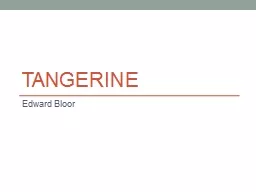 Tangerine  Edward Bloor Discussion Questions:
