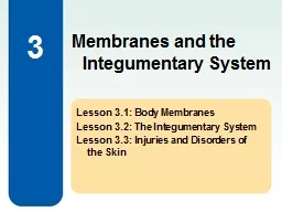 3 Lesson 3.1: Body Membranes