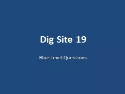 Dig Site 19 Blue Level Questions