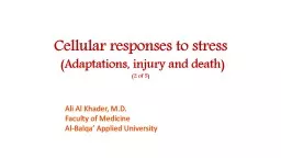 Cellular responses to stress