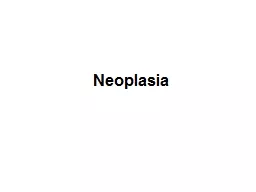 Neoplasia This is the next step toward neoplasia. Here, there is 