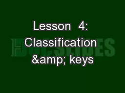 Lesson  4: Classification & keys