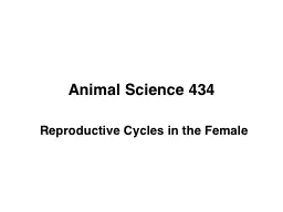 Animal Science 434 Reproductive Cycles in the Female