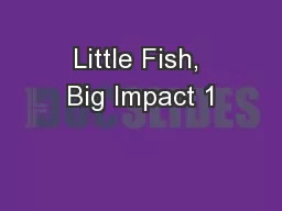 Little Fish, Big Impact 1