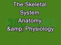 The Skeletal System Anatomy & Physiology