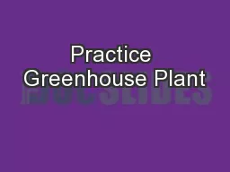 Practice Greenhouse Plant