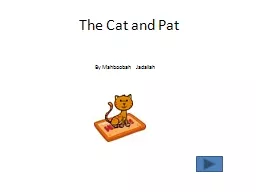 The Cat and Pat  By  Mahboobah