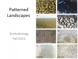 Patterned Landscapes Ecohydrology