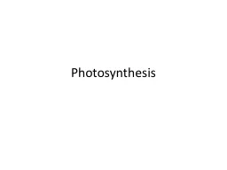 Photosynthesis  Why is it important to the plant?