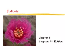 Eudicots Chapter  8 Simpson, 2