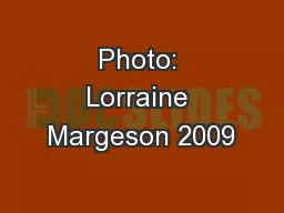 Photo: Lorraine Margeson 2009