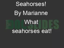 Seahorses! By Marianne What seahorses eat!
