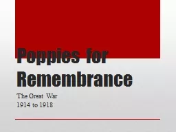Poppies for Remembrance The Great War