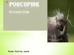 Power Point by Jamie Porcupine