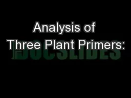 Analysis of Three Plant Primers: