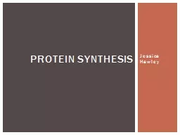Jessica Hawley Protein Synthesis