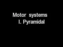 Motor  systems  I. Pyramidal
