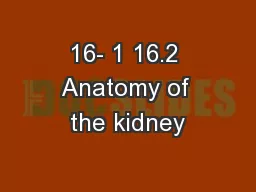 16- 1 16.2 Anatomy of the kidney