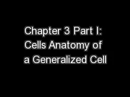 Chapter 3 Part I: Cells Anatomy of a Generalized Cell
