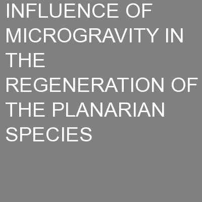 INFLUENCE OF MICROGRAVITY IN THE REGENERATION OF THE PLANARIAN SPECIES