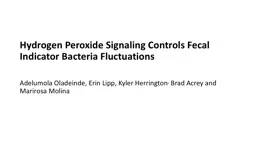 Hydrogen Peroxide Signaling Controls Fecal Indicator Bacteria Fluctuations