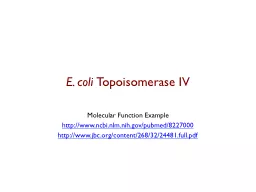 E. coli  Topoisomerase IV