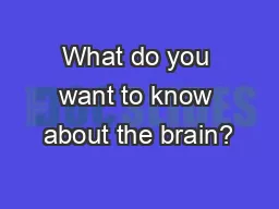 What do you want to know about the brain?