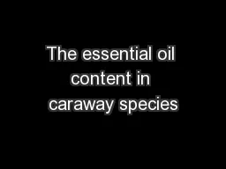 The essential oil content in caraway species