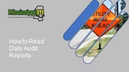 How to Read Daily Audit Reports