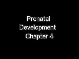 Prenatal Development  Chapter 4