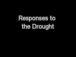 Responses to the Drought