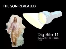 THE SON REVEALED Dig Site 11