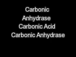 Carbonic Anhydrase  Carbonic Acid Carbonic Anhydrase