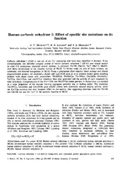 Human carbonic anhydrase I Effect of specific site mut