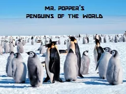 Penguins Mr. Popper’s MR. POPPER’S