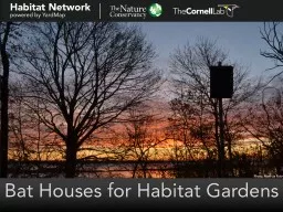 Bat Houses for Habitat Gardens