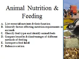 Animal Nutrition & Feeding