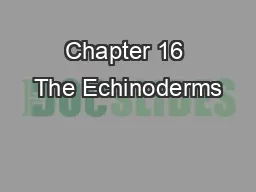 Chapter 16 The Echinoderms