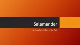 Salamander An Important History of the Myth