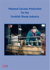 Planned Carcase Production for the Scottish Sheep Indu
