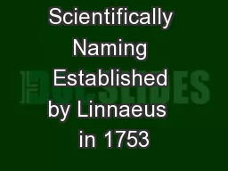 Scientifically Naming Established by Linnaeus  in 1753