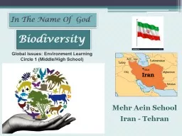 Mehr Aein School Iran - Tehran