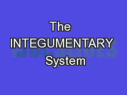 The  INTEGUMENTARY  System
