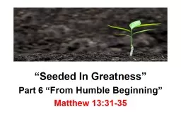 “Seeded In Greatness”
